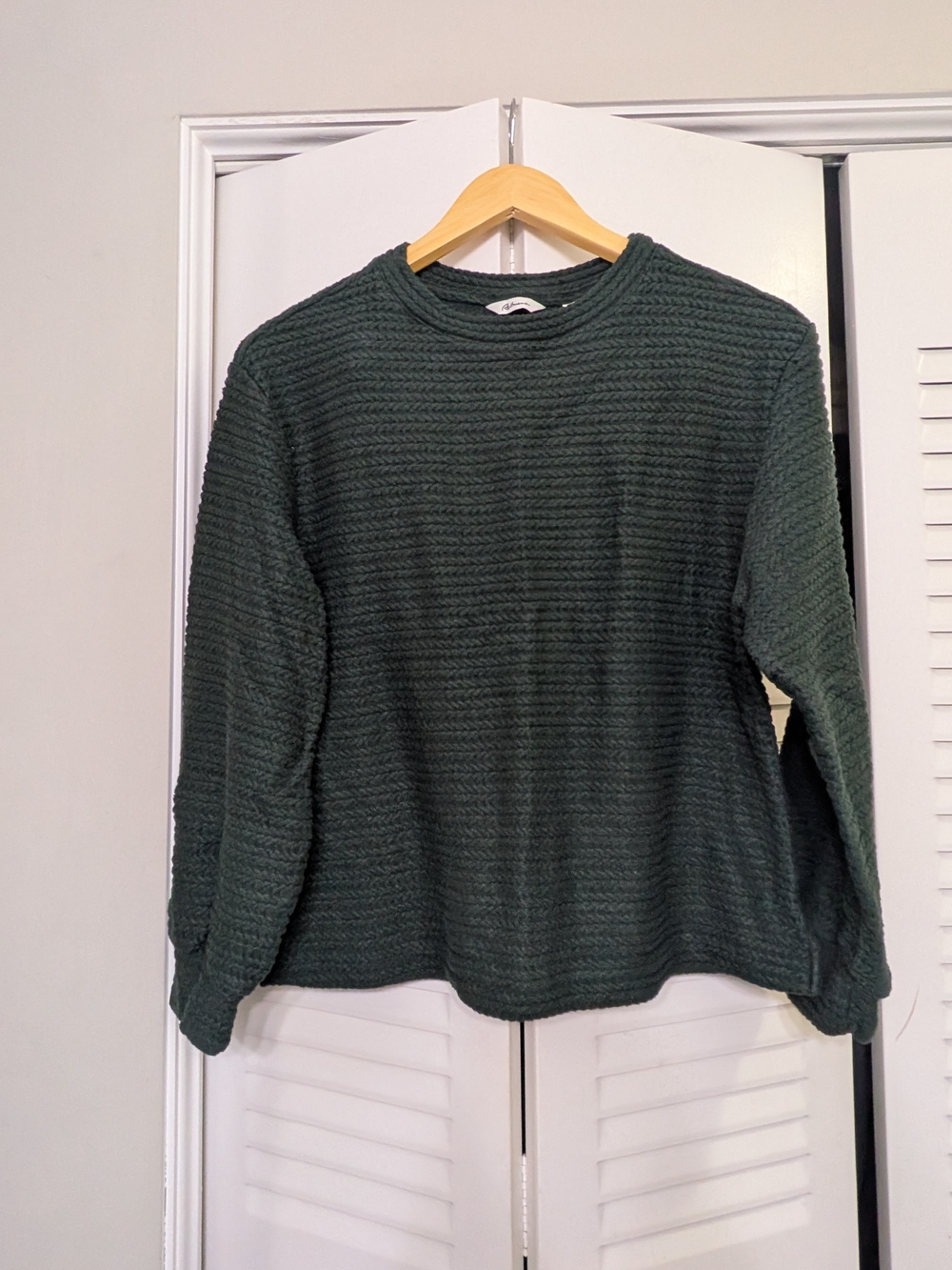 Reitmans Textured Crewneck Sweater in Deep Forest Green
